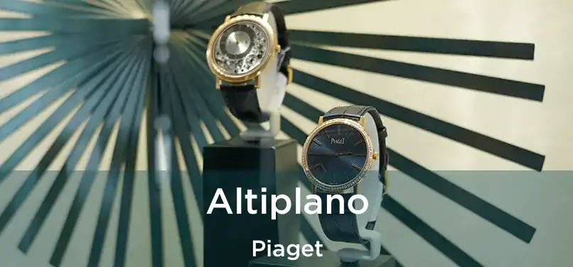  Altiplano Piaget