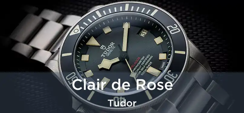  Clair de Rose Tudor