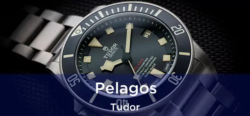 Pelagos Tudor